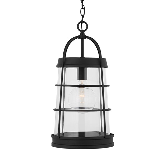 Outdoor Collection 1-Light Outdoor Hanging Pendant in Black with Clear Glass Shade Capital Lighting 927412BK