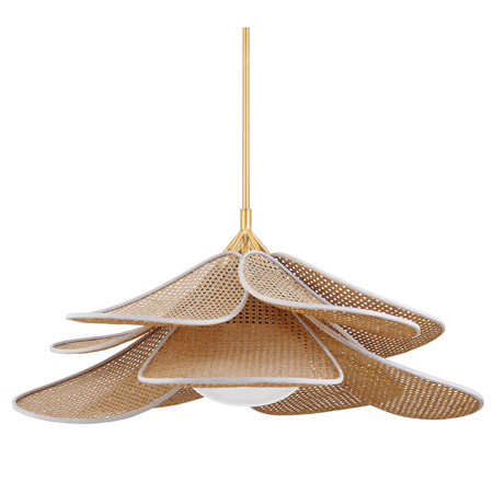 Florina Collection 1-Light Pendant in Aged Brass with Woven Rattan Petals Hudson Valley 3144-AGB